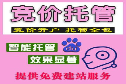 案例研究：SEM关键词优化效果对比